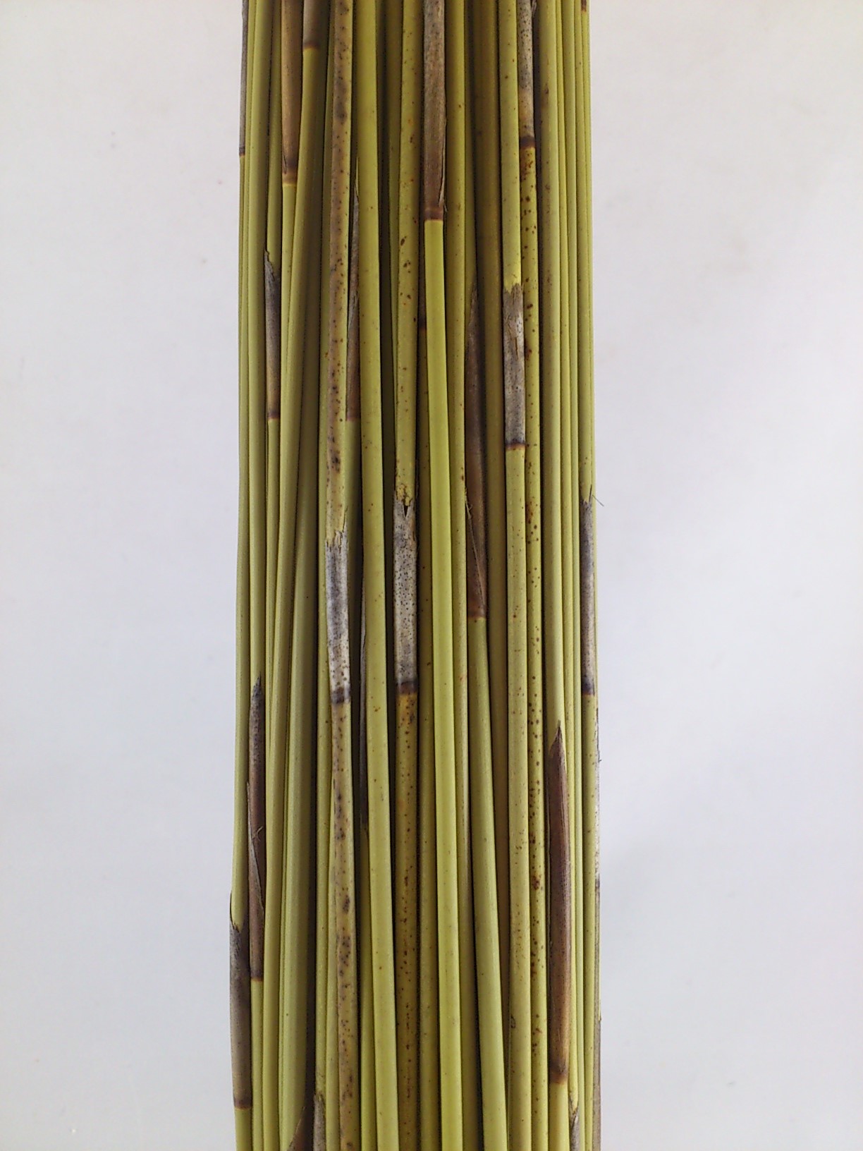 Bundle of reed 400 gr. 80 cm natural